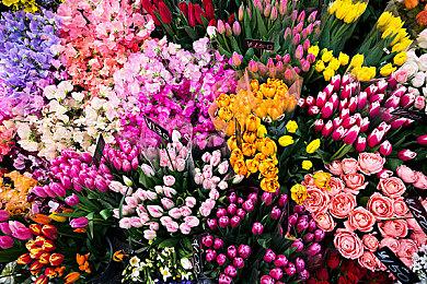 腾讯《异人之下》角色预告 展示主角张楚岚